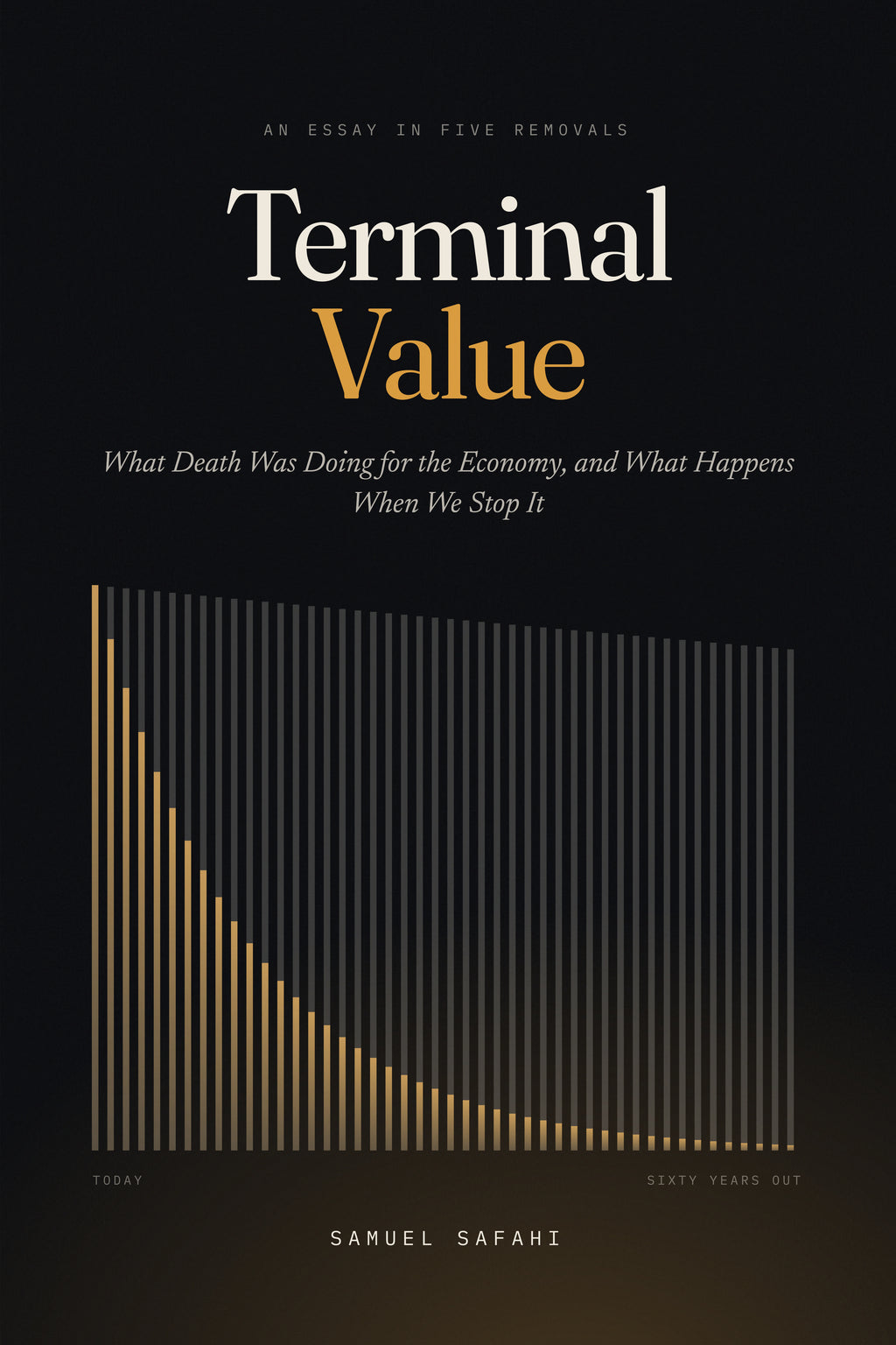 Terminal Value by Samuel Safahi, front cover